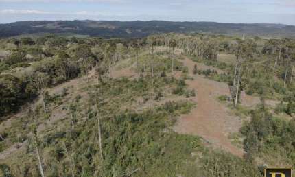 Chácara / sítio à venda na Área Rural de Guarapuava, Guarapuava 