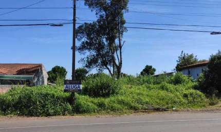 Terreno comercial para alugar na Avenida Manoel Antônio, 496, Vila Bela, Guarapuava