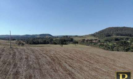 Chácara / sítio à venda na Vila Jordão, Guarapuava 