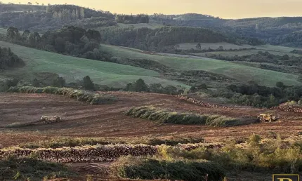 Chácara / sítio à venda no Guará, Guarapuava 