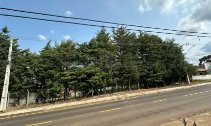 Terreno à venda na Rua Leonardo Coblinski, Boqueirão, Guarapuava