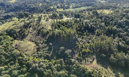Fazenda à venda na Zona Rural, Pinhão 