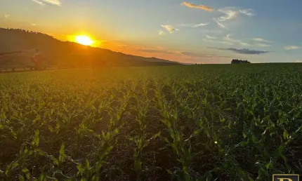 Fazenda à venda na Zona Rural, Goioxim 