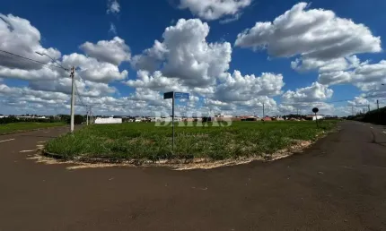 Terreno à venda no Jardim Europa, Barretos 