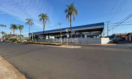 Imóvel de 800m será construído de acordo com o seu projeto