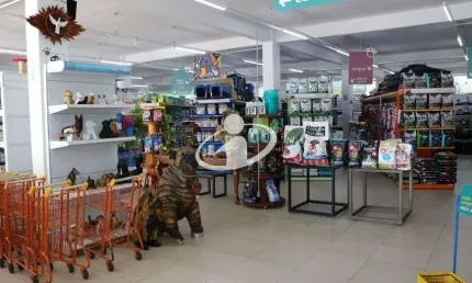 Ponto comercial para alugar no Martins, Uberlândia  por R$ 18.000