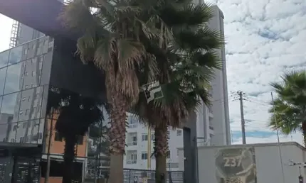 Apartamento com 2 quartos para alugar no Panazzolo, Caxias do Sul , 47 m2 por R$ 1.500