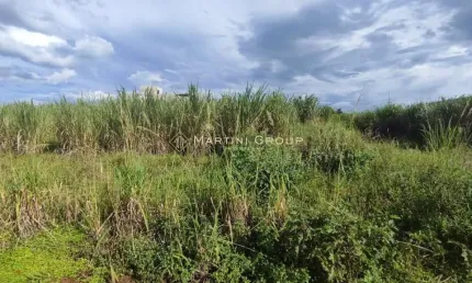 Terreno à venda na Rua Loteamento Riviera, Loteamento Riviera, Porto Rico