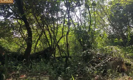 Casa com 2 quartos à venda no Jardim São Francisco, Piracicaba 