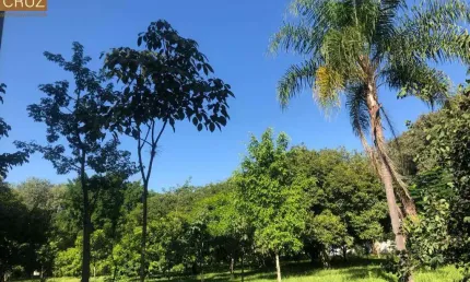 Terreno plano em rua calma e arborizada no bairro Nova Piracicaba