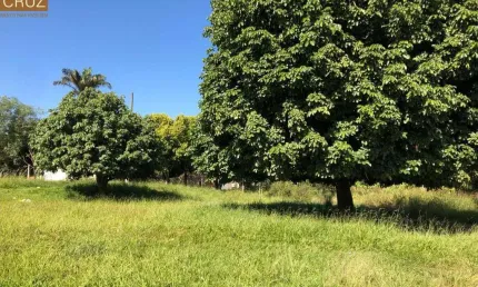 Terreno plano bem localizado no bairro mário dedini