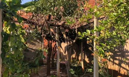 Terreno plano bem localizado no bairro mário dedini