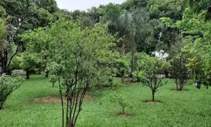 Chácara à venda para lazer ou investimento. Imóvel localizado perímetro urbano.