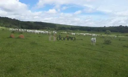 Fazenda à venda, 5 quartos, 1 suíte, 4 vagas, São Cristóvão - Patrocinio/MG