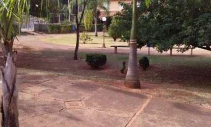 casa a venda, zona norte, condominio fechado, 02 dorm, sala, coz, area de serviço, quintal, Rio Preto, financia, condominio com área de lazer, portari
