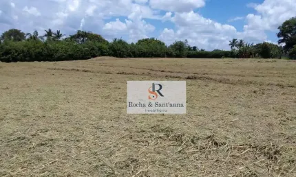 Terreno em condomínio fechado à venda na Alameda dos Mognos, Colinas do Mosteiro de Itaici, Indaiatuba