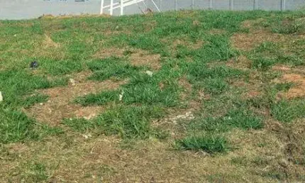 Terreno 611 Metros R$ 1.345.000 - Jardim Esplanada - Indaiatuba/SP