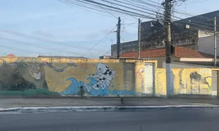 Casa com 5 quartos à venda na Vila Maria Alta, São Paulo 