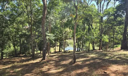 Viva no paraíso: Lote de 4.253m² no Aldeia do Vale, Goiânia!