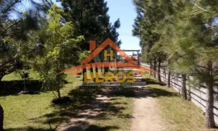 Chácara / sítio com 2 quartos à venda na Estrada Otaviano José Pinto, 5599, Lami, Porto Alegre por R$ 477.000