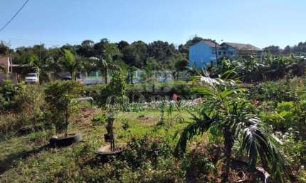 Chácara / sítio com 3 quartos à venda na Beco Calábria, 281, Restinga, Porto Alegre por R$ 1.060.000