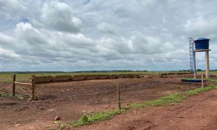 Fazenda com dupla aptidão no Maranhão no melhor polo produtor de grãos