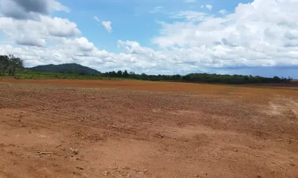 Fazenda em Brejinho de Nazaré á 23 km da 153 (Rodovia Belém/Brasilia)