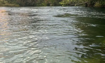 Fazenda à venda na Zona Rural, Novo Jardim 