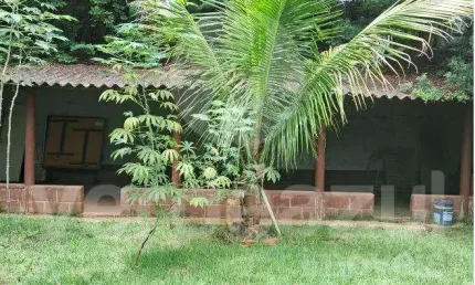 Chácara / sítio com 1 quarto à venda no jardim itaguaçu i, campinas , 2000 m2 por r$ 279.000