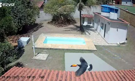 Chácara com 3 dormitórios à venda, 1448 m² por r$ 540.000,00 - shangri-lá - goianá/mg