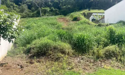 Terreno à venda, 1000 m² por R$ 280.000,00 - Novo Horizonte - Juiz de Fora/MG
