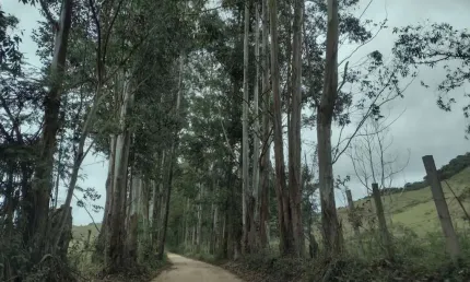 Fazenda à venda na Zona Rural, Chácara 