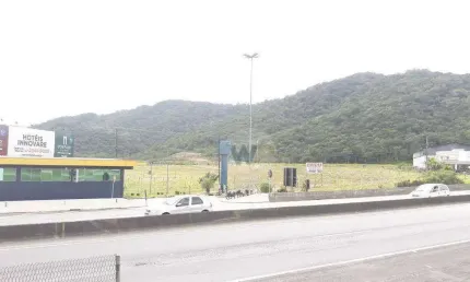 Terreno para alugar, 40000 m² por r$ 150.000/mês - várzea do ranchinho - camboriú/sc