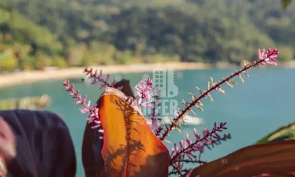 Pousada à venda – ilha grande/rj – nota 9.0 no booking – cais privativo e vista maravilhosa!