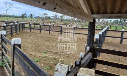 Fazenda à venda, 58080000 m² por R$ 62.000.000,00 - Zona Rural - Campos Altos/MG