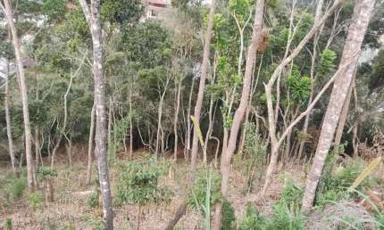 Terreno em Condomínio para Venda em Teresópolis, Panorama