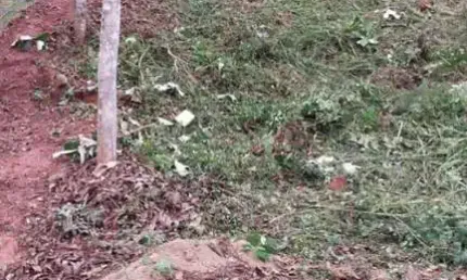Terreno em Condomínio para Venda em Teresópolis, Albuquerque