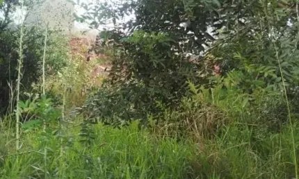 Terreno à venda na Rua José Carlos Corrêa Costa, 15, Oriço, Gravataí, 330 m2 por R$ 286.200
