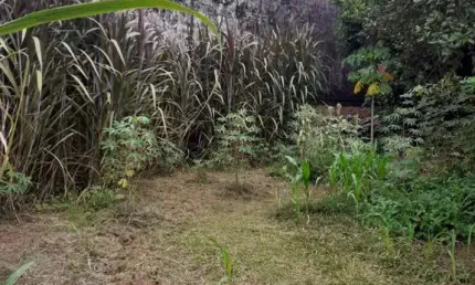 Terreno à venda na Monte Rey, 001, Vera Cruz, Gravataí, 363 m2 por R$ 205.000