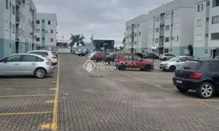Apartamento com 2 quartos para alugar na Estrada Vânius Abílio dos Santos, 490, Santa Cruz, Gravataí, 49 m2 por R$ 1.100
