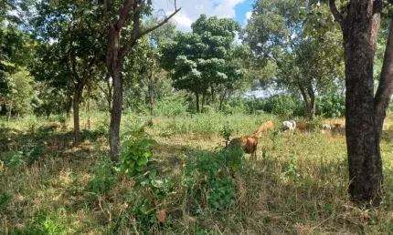 Terreno à venda na Avenida 2ª Avenida, 04, Setor Aeroporto Sul, Aparecida de Goiânia
