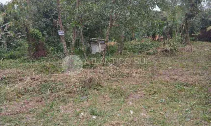Terreno à venda ótima localização, guaraguaçu,  pontal do parana - pr