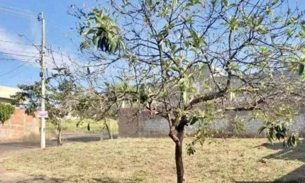 Terreno à venda na Rua Valdir Fernando De Marchi, Parque Residencial J. Macedo, São José do Rio Preto, 260 m2 por R$ 155.000