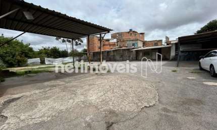 Terreno comercial para alugar no Nova Suíssa, Belo Horizonte 