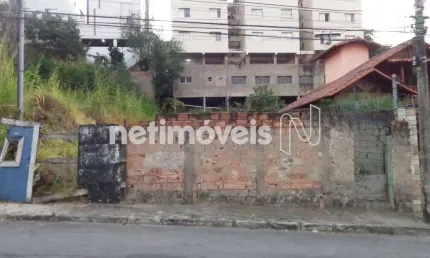 Terreno à venda na Rua Amaro Ribeiro Coelho, Alto Caiçaras, Belo Horizonte