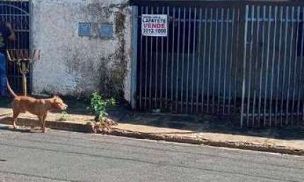 Casa com 2 dormitórios à venda por R$ 110.000,00 - Jardim das Oliveiras - São José do Rio Preto/SP