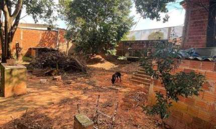 Chácara com 4 dormitórios para alugar, 1000 m² por R$ 3.850,00/mês - Pica-pau-amarelo (Zona Rural) - São José do Rio Preto/SP