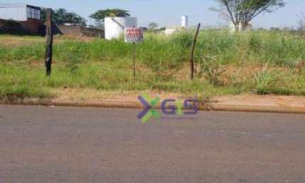 Terreno à venda, 1250 m² por R$ 1.200.000 - Distrito Industrial Doutor Carlos Arnaldo e Silva - São José do Rio Preto/SP