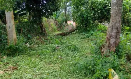 Casa para venda, 1 quarto(s),  Jardim Papai Noel, São Paulo - CA6664