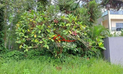 Terreno à venda, 393 m² por R$ 424.000,00 - Região Central - Caieiras/SP